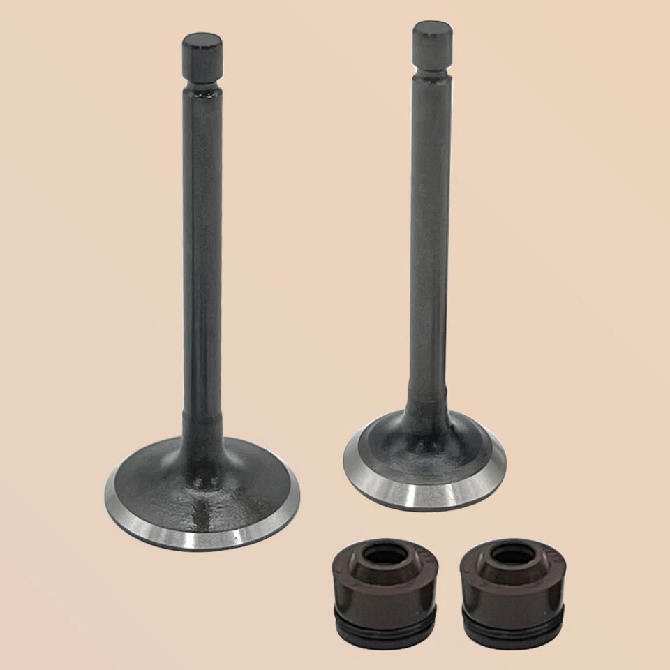 Kit de válvulas de escape de admisión de motor para Yamaha TTR125E 2003-2009 TTR125L 2000-2008 Foto 2 de 4