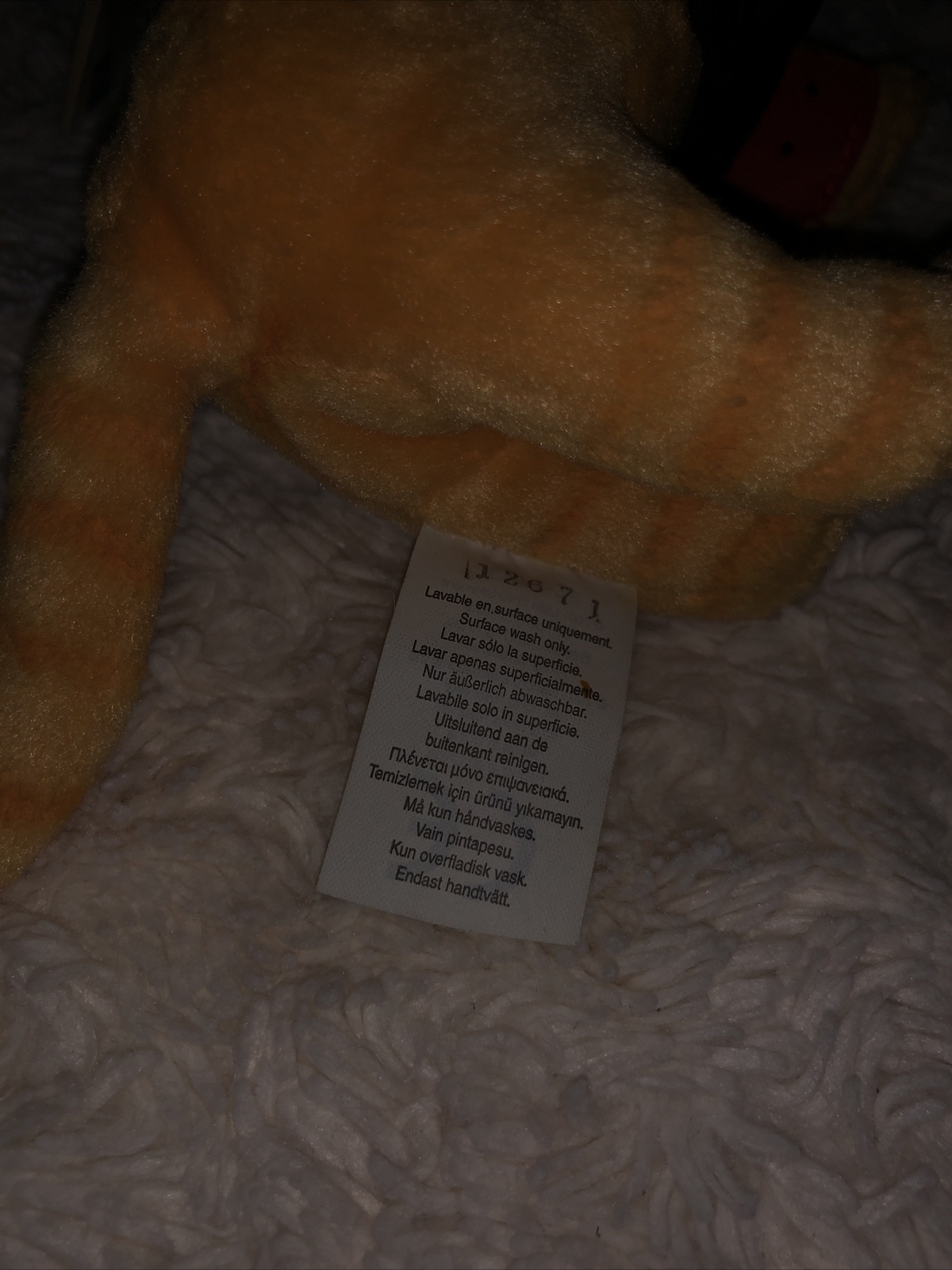 Picture 6 of 11