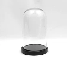 Vagabond Vintage Blown Glass Dome Display Glass Cloche Black Wood Base 10.5 in