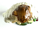 Bild 5 von 8