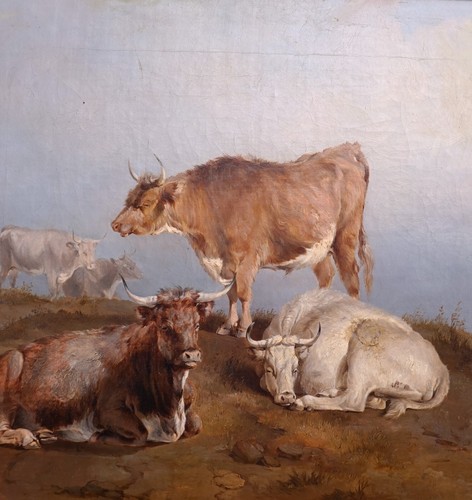 18th CENTURY LONG HORNED CATTLE RESTING in LANDSCAPE SIGNED ANTIQUE OIL PAINTING - Picture 7 of 8