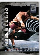 2002 Fleer WWF All Access #12 Billy Gunn