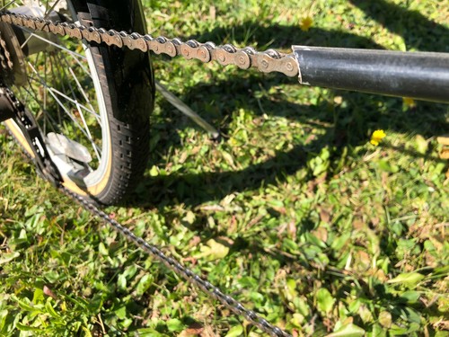 BikeE RECUMBENT BICYCLE CHAIN | eBay
