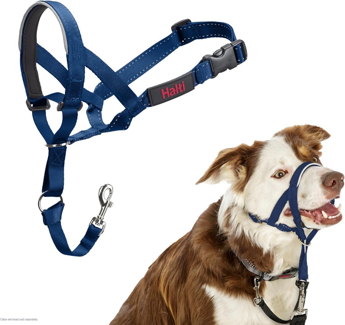 Halti Headcollar – No Pull Dog Training Head Collar Size 2 Blue