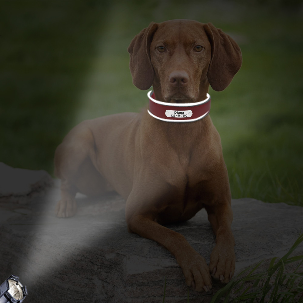 Large Dogs Personalised Collar Reflective Leather Dog Collar Engraved