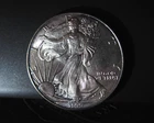 1999 American Silver Eagle - .999 - 1 oz Silver Dollar. (with patina)