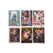 Toronto Maple Leafs 36 Card Lot - Anthony Stolarz Retro Rookie Card . rookie card picture