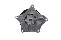 Valeo Wasserpumpe, MotorküHlung U.A. FüR Mg, Opel, Vauxhall