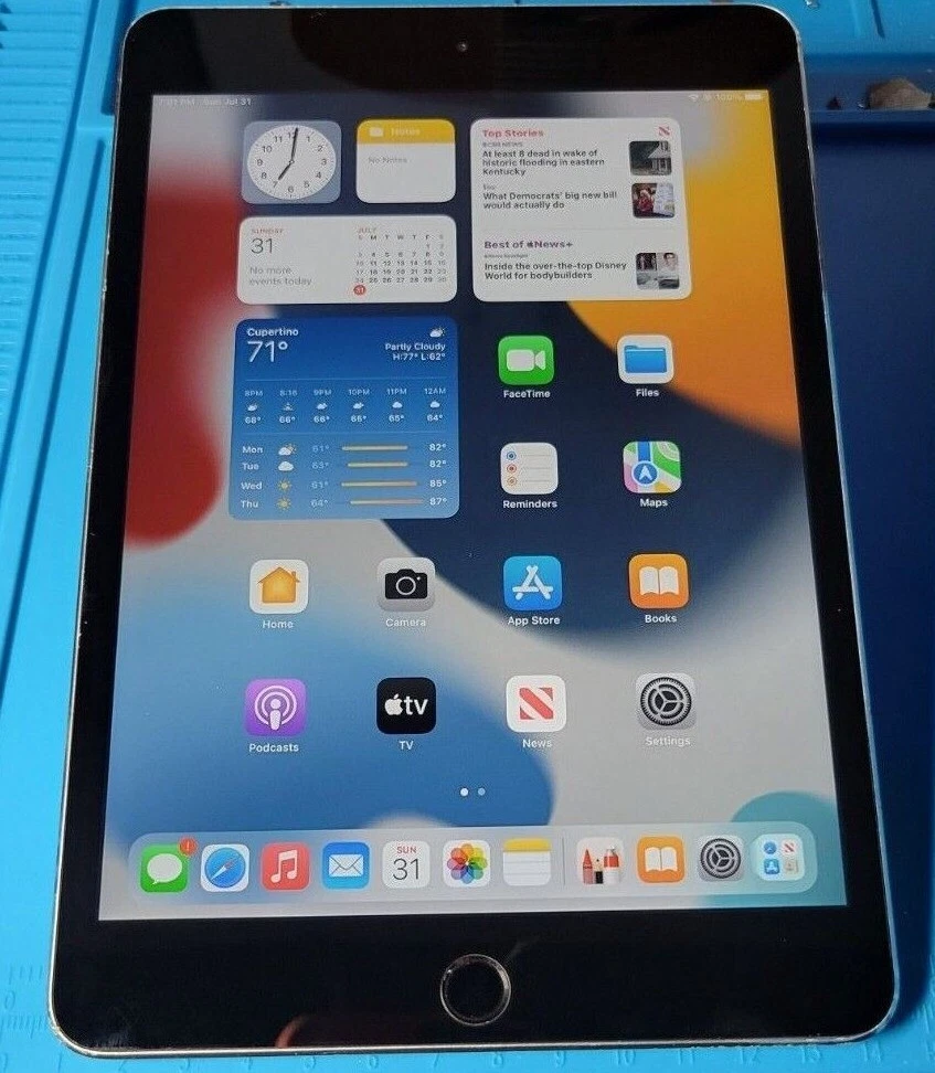 Apple iPad Mini 4 16GB Wi-Fi 7.9in Space Gray 888462367035 | eBay Apple iPad Mini 4 16GB Wi-Fi 7.9in Space Gray 888462367035 | eBay