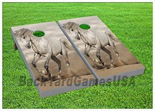 CORNHOLE BEANBAG TOSS GAME w Bags Game Boards Set 913