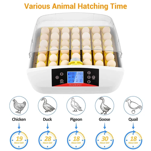 Egg Incubator LED Fully Automatic Digital Auto Turning 42 Eggs Hatcher Poultry - Picture 8 of 12