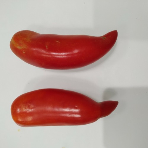 ☺20 graines de tomate cornue des Andes - Picture 2 of 2