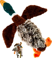 Duck Dog Toy Squeak Toys | Mallard-Shaped | Shaped Pet Toys | Duck Dog Toys for 