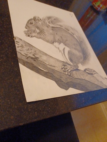 Original signierte Bleistiftzeichnung. Titel "Das Eichhörnchen". 8 1/2 × 11 Zoll. - Bild 4 von 4