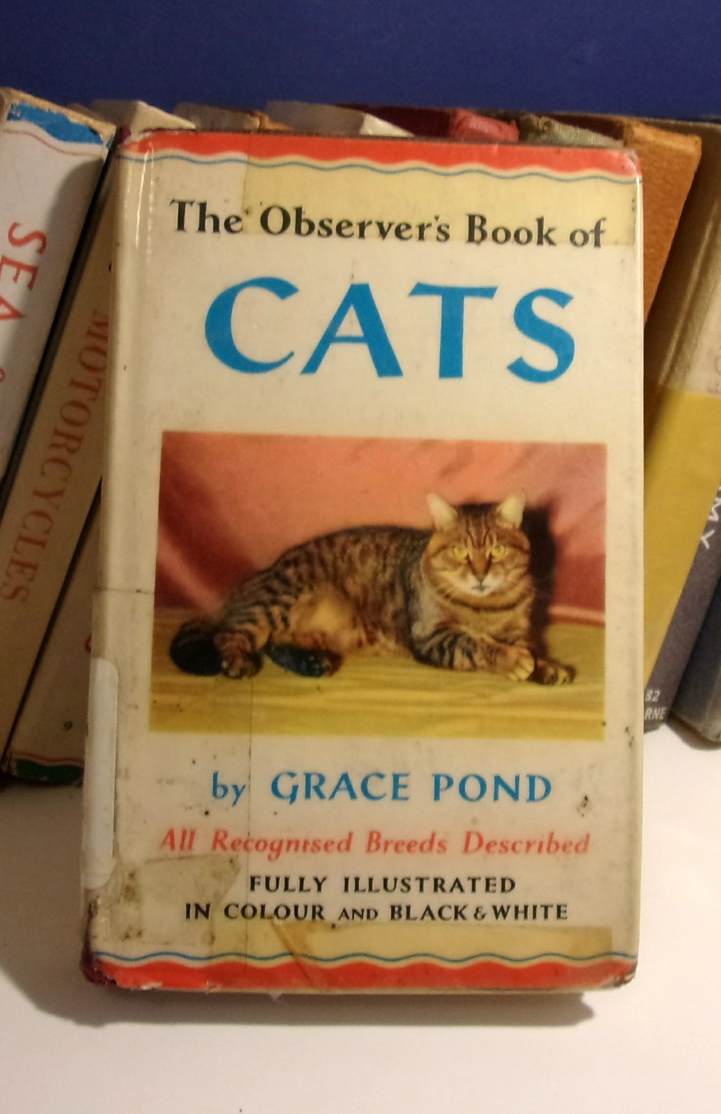 The Observer's Book of Cats revised edition 1968