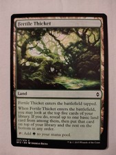 Fertile Thicket (237/274) – Battle for Zendikar – MTG Magic the Gathering