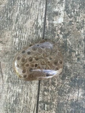 5oz Beautiful Polished Petoskey Stone Fossil Lake Michigan Coral Dark Eye