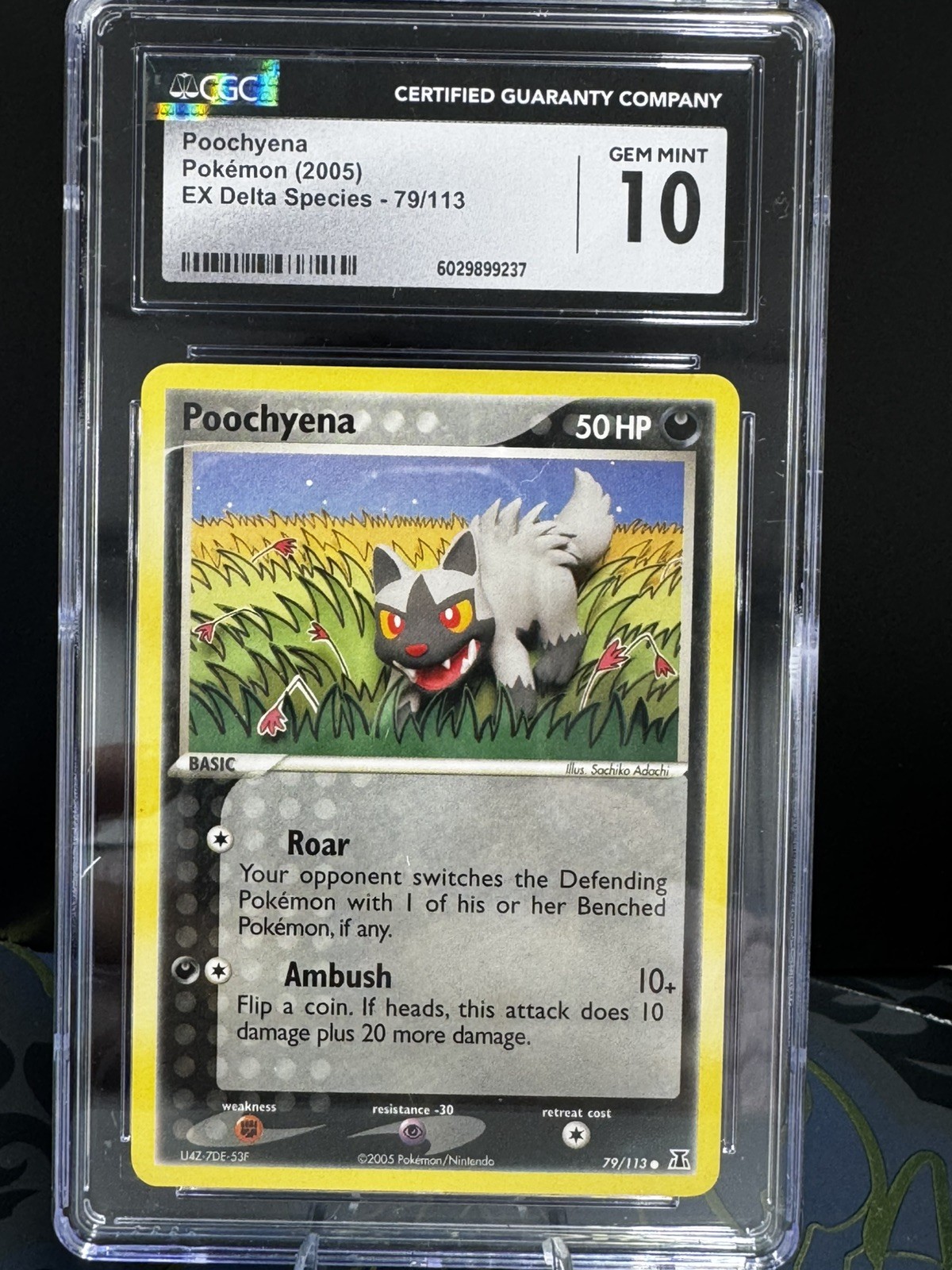 Poochyena Pokémon (2005) EX Delta Species 79/113 CGC 10 GEM MINT