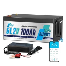 48V 100Ah LiFePO4 Lithium Battery 200A BMS 10240W  for Trolling Motor Golf Cart