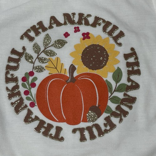 Baby Girl Thanksgiving/Fall Outfits Size 3T. NWT! 4 Pieces For Fall. Casual - Picture 9 of 13