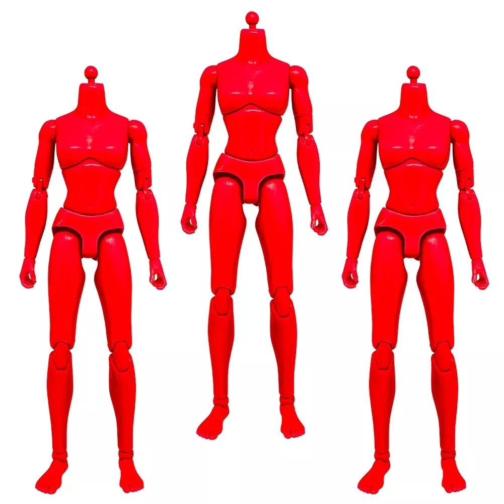 6 Inch Deluxe Female Articulated Action Figure Body - Figures Toy