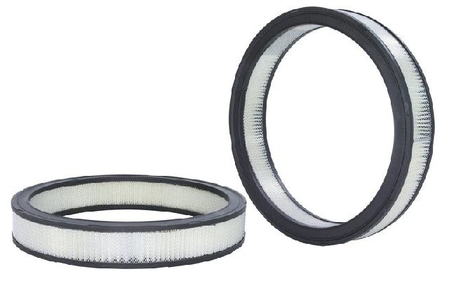 Filtro de aire del motor OEM Wix para Ford Fairlane 1959 V8-4,8 L Foto 2 de 4