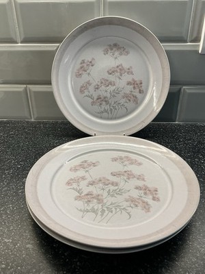 Denby Bretagne -3 x 26,5 cm Speiseteller