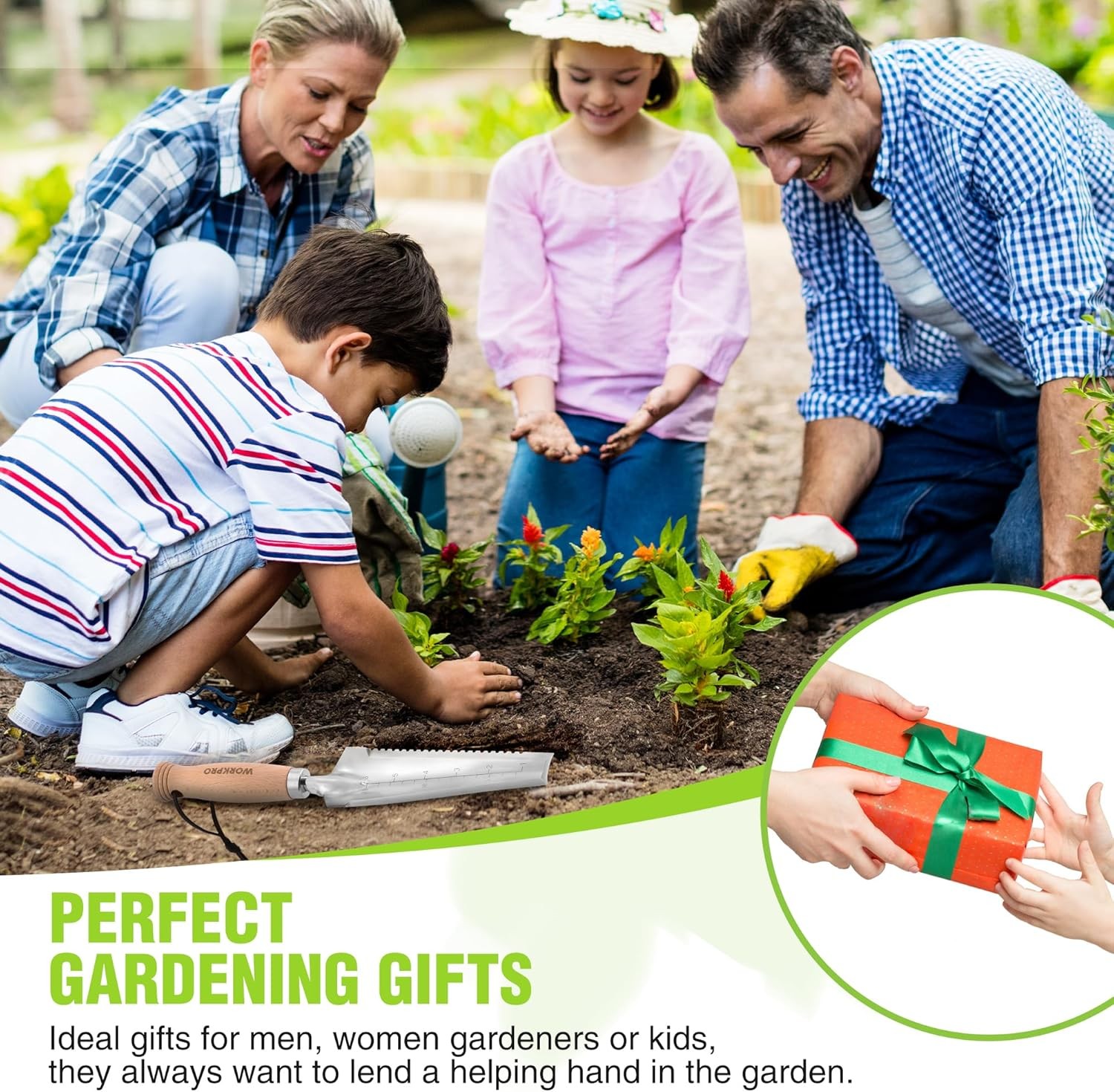 WORKPRO Garden Trowel with Wood Handle, Stainless Steel Narrow Hand Shovel,... 