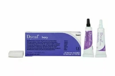 Dycal Ivory Dentin Radiopaque Calcium Hydroxide Dental Pulp Capping FAST FREE SH