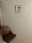 Picture 14 of 14