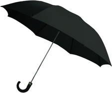 Rainbrella 2-Fold Auto Open Umbrella