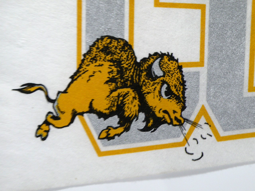 Vintage University of Colorado BUFFALOES Felt Pennant RARE 1970's 30" FULL Size - Picture 5 of 6