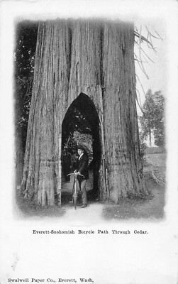 EVERETT SNOHOMISH WASHINGTON~BICYCLE PATH THROUGH TREE~1900s SWALWELL POSTCARD