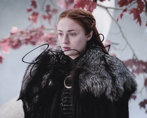 SOPHIE TURNER signed Autogramm 20x25cm GAME OF THRONES in Person autograph ACOA