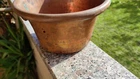 Foto 3 di 11