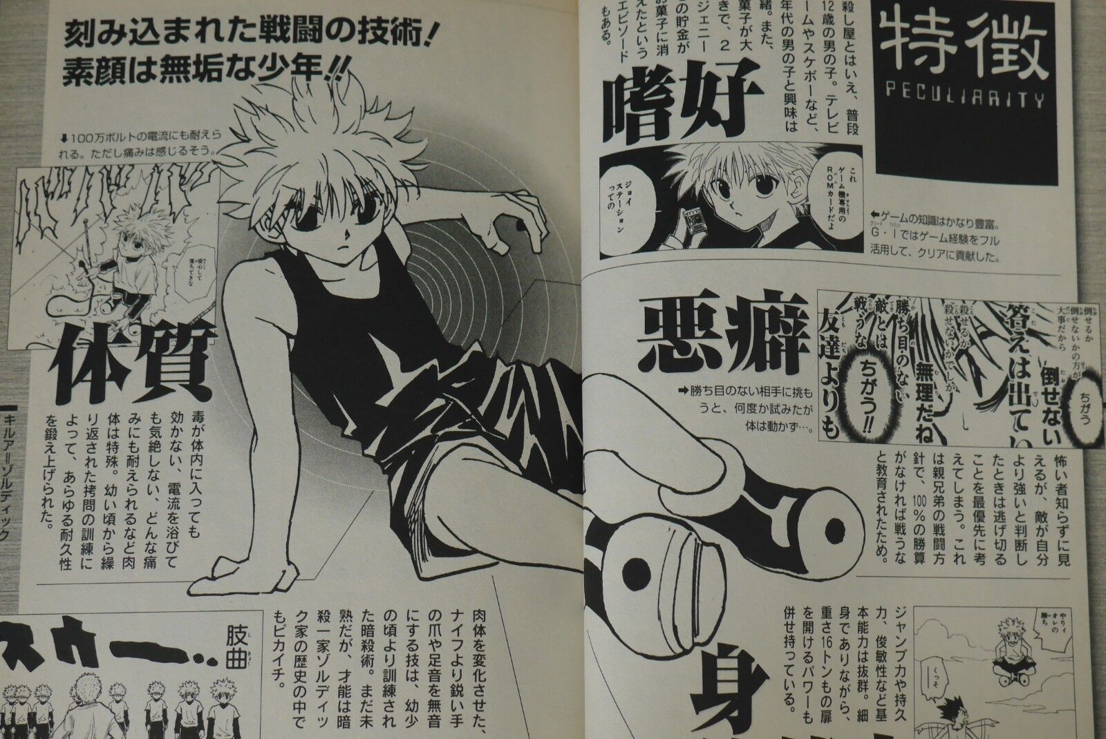 Hunter x Hunter Hunter no Keifu Game Guide Book JAPAN