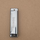ILLINOIS Diatonic Harmonica Key of C Silver Chrome Plated w/ Case 6181L — photo 5