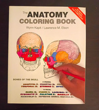 The Anatomy Coloring Book 4th Edition Paperback by Wynn Kapit  Elson