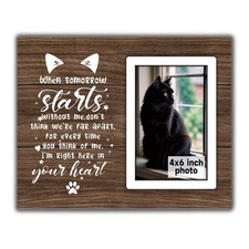 Cat Memorial Picture Frame, Pet Loss Sympathy Gift, Pet Memorial Frame, Loss ...