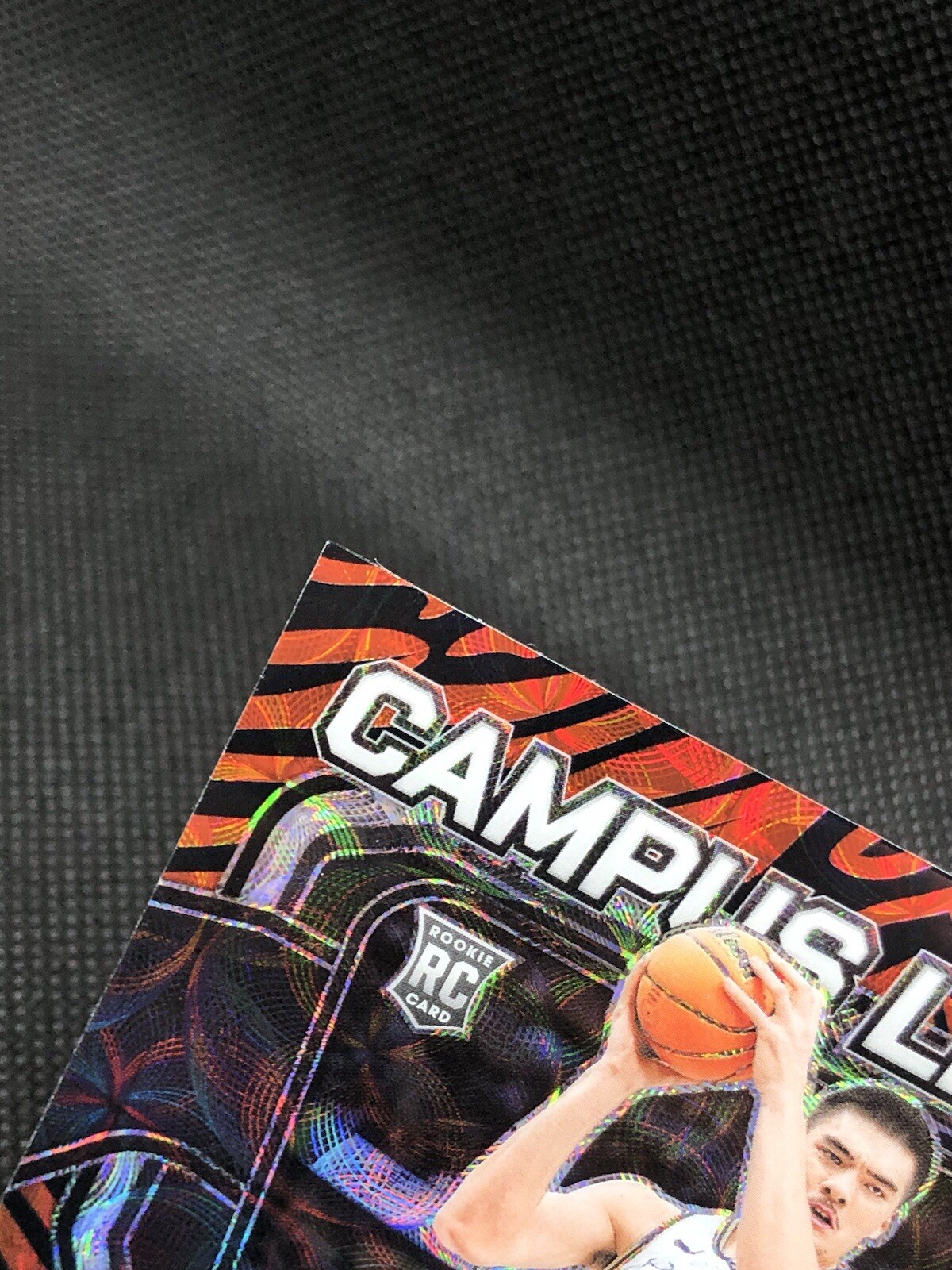 Picture 6 of 17