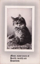 Postcard Vin (1) Beauty Many, many years of health,wealth & happiness UP (#798)