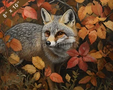 Gray Fox in autumn foliage oil painting 8x10 Print