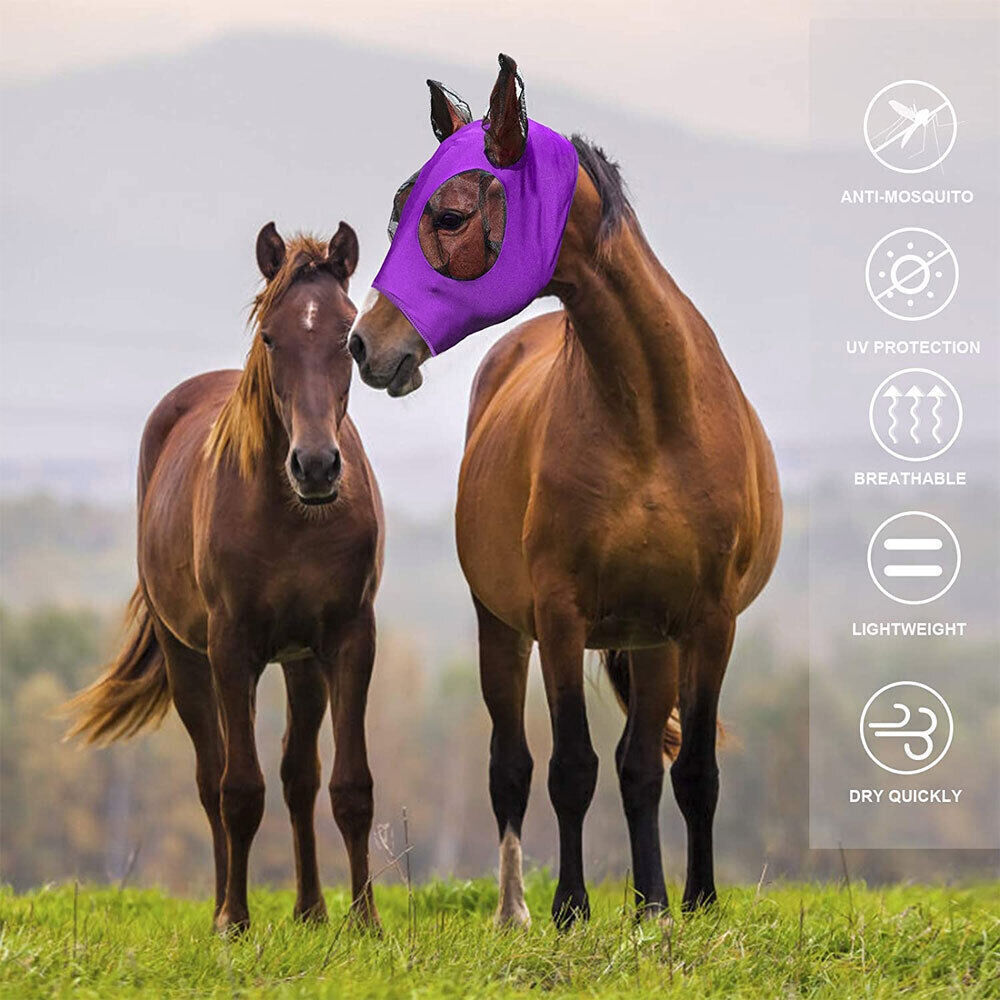 Horse Wear Masters Fly Mask Stretch Bug Eye Saver with Ears Lycra Hood