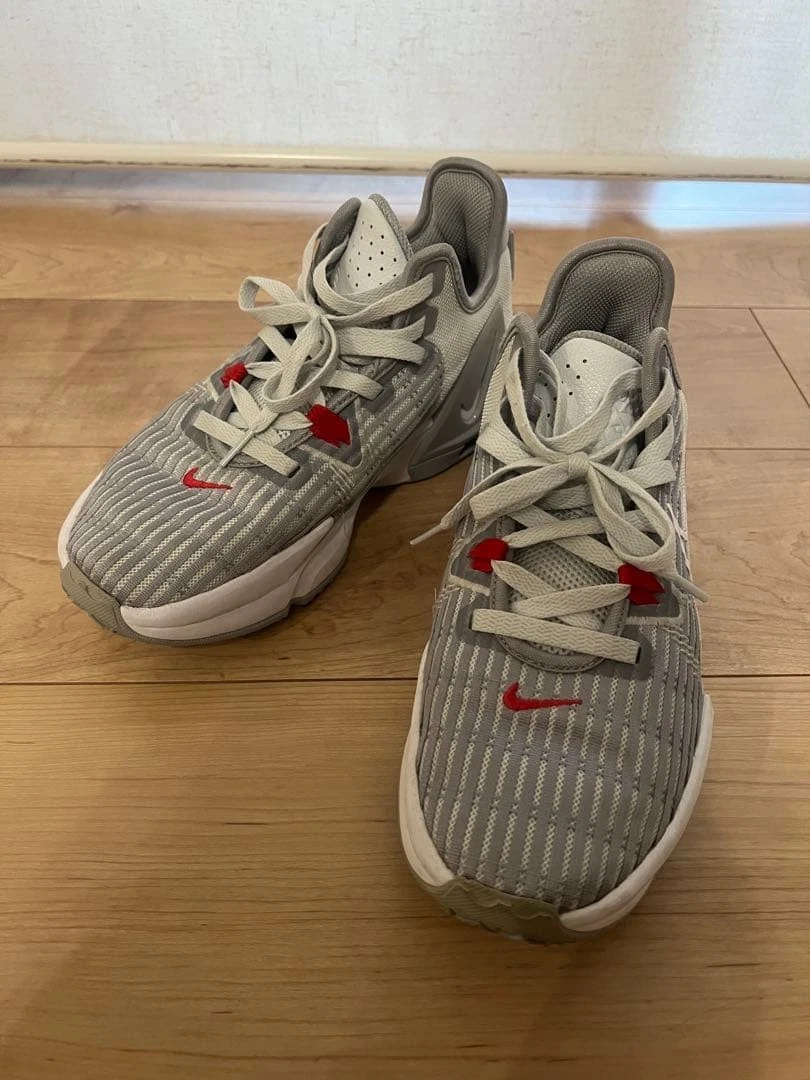 Nike LeBron Witness 6 Pure Platinum | eBay