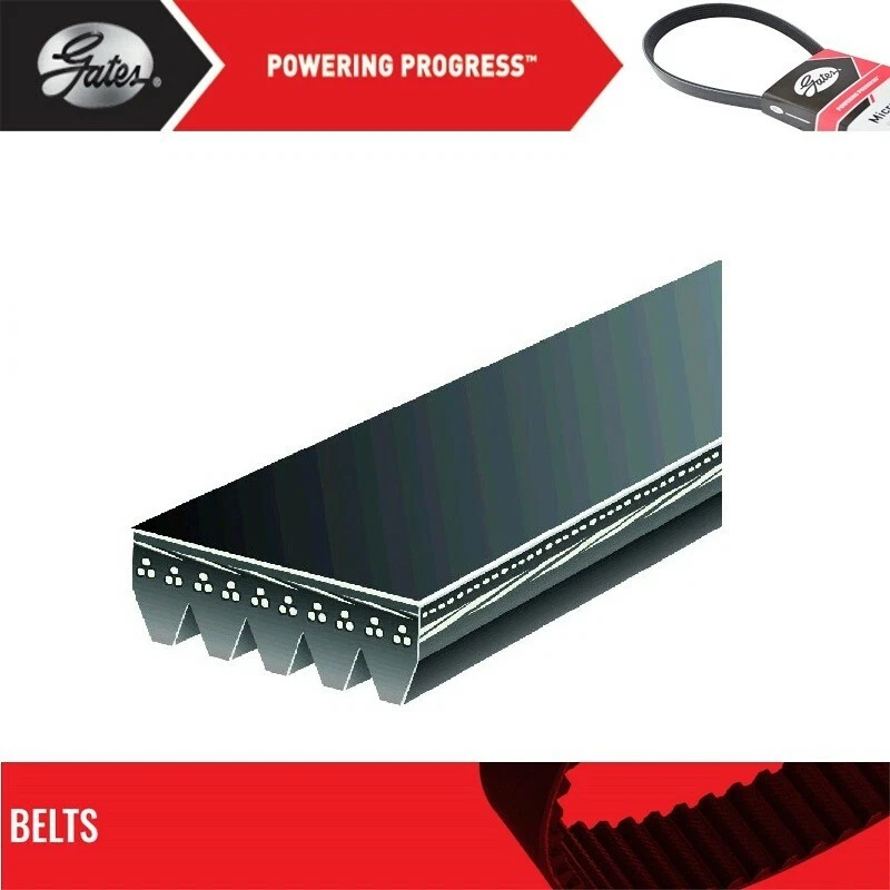 Puertas de cinturón Serpentine para Chevrolet Cavalier L4-2,2 L 1996 Foto 2 de 4