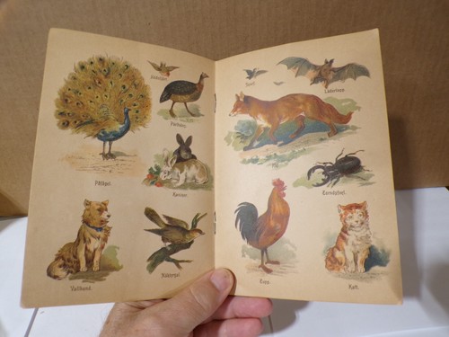 1900s Vara Alsklingar Swedish Softcover children's Book #821 Some Color Photos - Foto 5 di 10