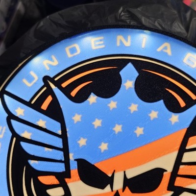 WWE Cody Rhodes American Nightmare Round Logo Wall Hanging USB