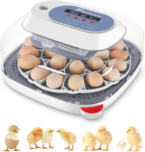24 Eggs Incubators for Hatching Eggs, Digital Poultry Hatcher Automatic Turning