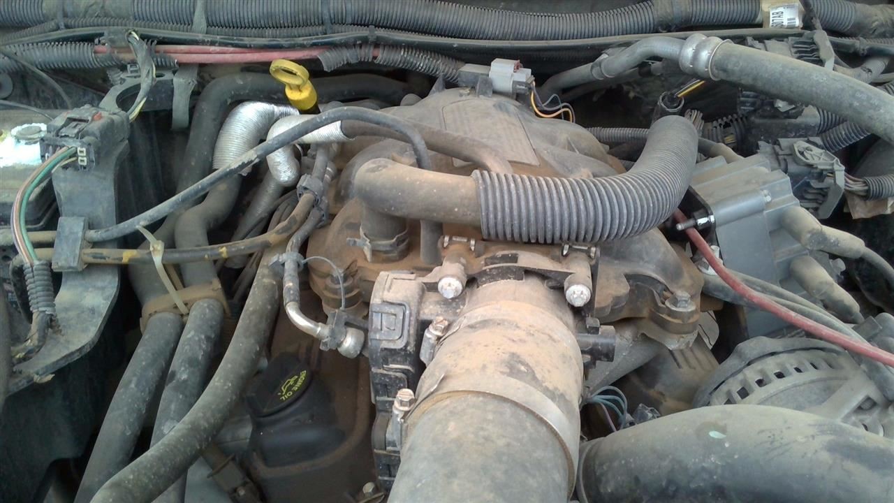 WRANGLER  2009 Front Door Trim Panel 31974982 thumbnail 3