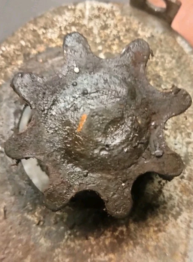 De colección BOB CAT Bobcat 7HP Caminar Detrás Soplador de Nieve Eje de Gato y Bolso de Mano Deslizante NLA Foto 4 de 4